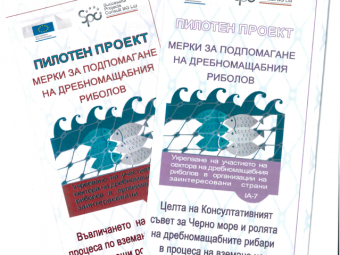 Брошури лица